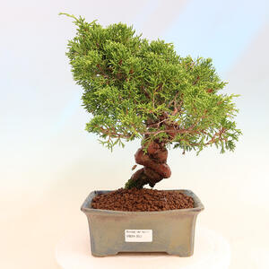 Keramická bonsai miska 36 x 28,5 x 7,5 cm, barva hnědá