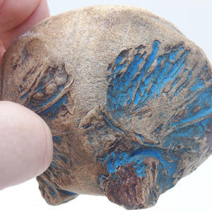 Keramická Skořápka 7 x 7 x 6 cm, barva modrá