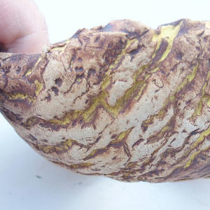 Keramická Skořápka 12 x 12 x 5 cm, barva hnědožlutá