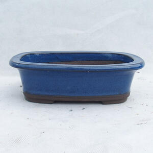 Bonsai miska 23 x 16 x 7 cm, barva modrá