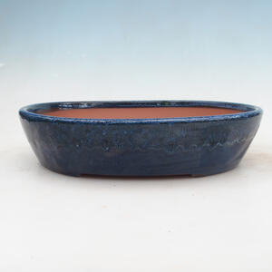 Bonsai miska 34 x 27 x 7,5 cm, barva modrá