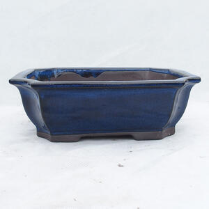 Bonsai miska 31 x 24 x 10 cm, barva modrá