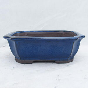Bonsai miska 24 x 19 x 8,5 cm, barva modrá