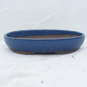 Bonsai miska 31 x 21 x 4,5 cm, barva modrá