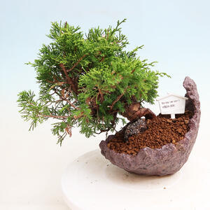 Keramická bonsai miska 37 x 29 x 8 cm, barva hnědá