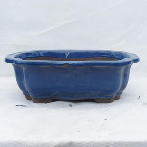 Bonsai miska 39 x 32 x 12 cm, barva modrá