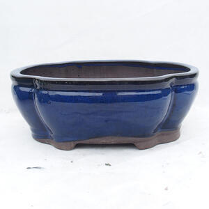 Bonsai miska 41 x 33 x 15 cm, barva modrá
