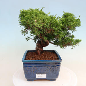 Keramická bonsai miska 42 x 33 x 9,5 cm, barva hnědá