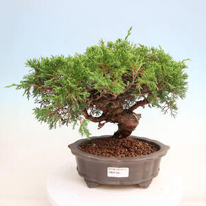 Keramická bonsai miska 40 x 31 x 7 cm, barva hnědá