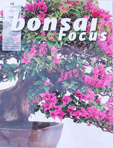Bonsai focus - německy č.68