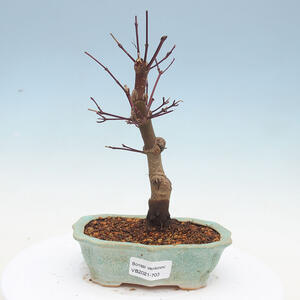 Keramická bonsai miska 26 x 26 x 5,5 cm, barva hnědá