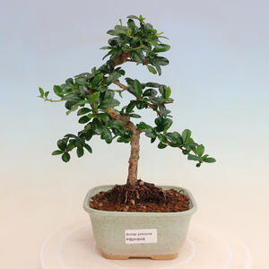 Keramická bonsai miska 10,5 x 10,5 x 14 cm, barva béžová