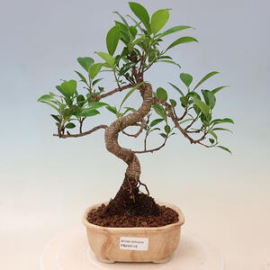 Keramická bonsai miska 17,5 x 17,5 x 7 cm, barva praskanážlutá