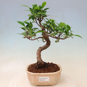 Keramická bonsai miska 18 x 18 x 7 cm, barva praskanáčervená