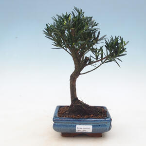Keramická bonsai miska 17 x 17 x 6,5 cm, barva praskaná