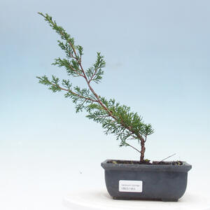 Keramická bonsai miska 15,5 x 15,5 x 7 cm, barva žlutá