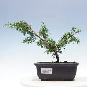 Keramická bonsai miska 20,5 x 20,5 x 6,5 cm, barva zelená
