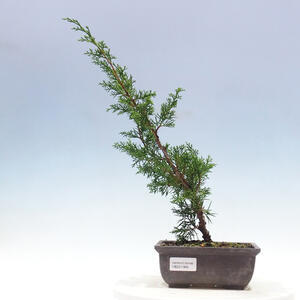 Keramická bonsai miska 20,5 x 20,5 x 7 cm, barva zelená