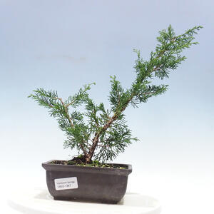 Keramická bonsai miska 18,5 x 18,5 x 6 cm, barva zelená