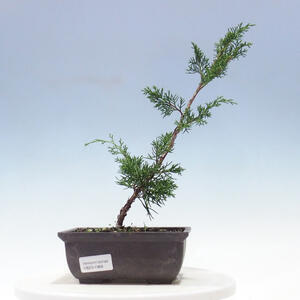 Keramická bonsai miska 17,5 x 17,5 x 6,5 cm, barva zelená