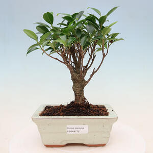 Keramická bonsai miska 18 x 18 x 7,5 cm, barva modrá