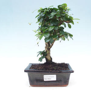 Keramická bonsai miska 14,5 x 11 x 5,5 cm, barva šedá