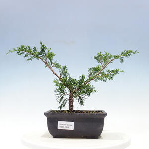 Keramická bonsai miska 20 x 20 x 7 cm, barva zelená
