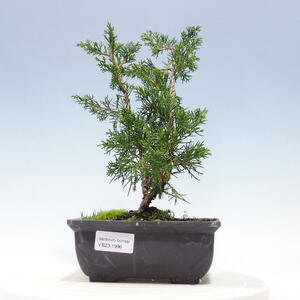 Keramická bonsai miska 18 x 18 x 7 cm, barva hnědá