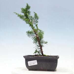 Keramická bonsai miska 17,5 x 17,5 x 7 cm, barva hnědá