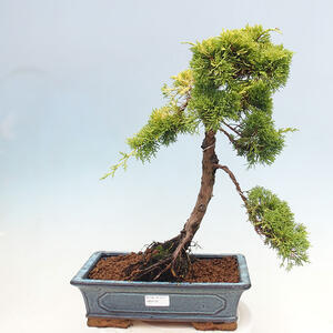 Keramická bonsai miska 42 x 32 x 9 cm, barva hnědá