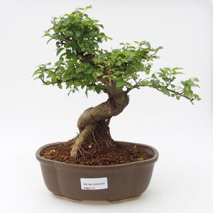 Keramická bonsai miska - 2.jakost