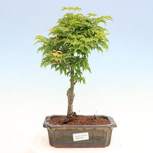 Keramická bonsai miska 29 x 24 x 8,5 cm, barva hnědá