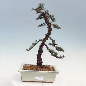 Keramická bonsai miska 31 x 31 x 12 cm, barva hnědá