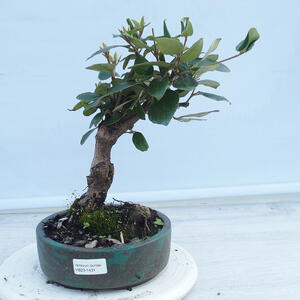Keramická bonsai miska 41 x 33 x 7,5 cm, barva hnědá