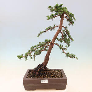 Keramická bonsai miska 41 x 31 x 8 cm, barva hnědá