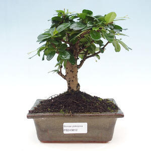 Keramická bonsai miska 10,5 x 9 x 4 cm, barva oranžová