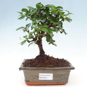 Keramická bonsai miska 10,5 x 9 x 4 cm, barva modrá