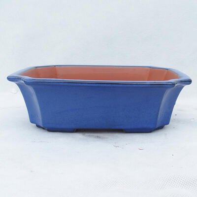 Bonsai miska 22 x 17,5 x 6 cm, barva modrá - 1