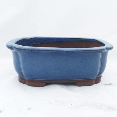 Bonsai miska 30 x 25 x 10 cm, barva modrá - 1