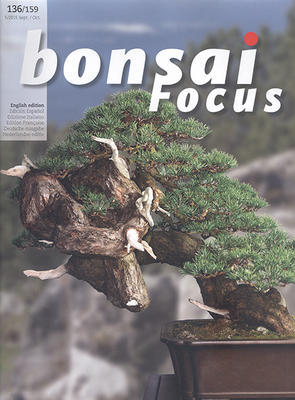 Bonsai focus č.136 - 1