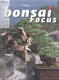 Bonsai focus č.136 - 1/4