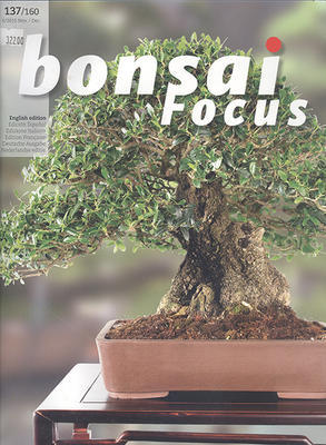 Bonsai focus č.137 - 1