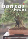 Bonsai focus č.137 - 1/4