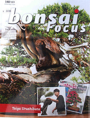 Bonsai focus č.140