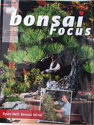Bonsai focus č.141