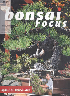 Bonsai focus č.141 - 1