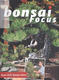 Bonsai focus č.141 - 1/4