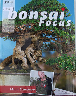Bonsai focus č.142