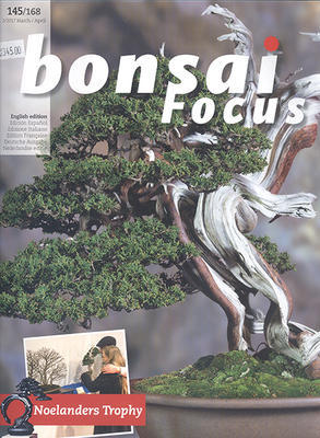 Bonsai focus č.145 - 1