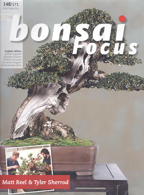 Bonsai focus č.148 - 1